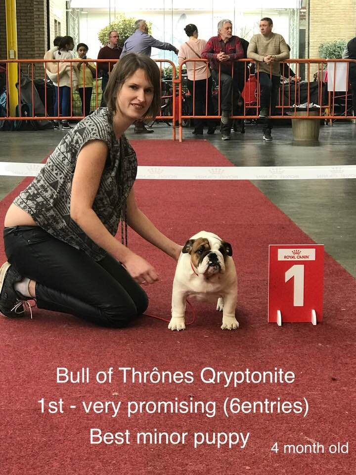 Bull Of Thrônes - 1er show et 1ère Victoire pour Qryptonite !!! <3